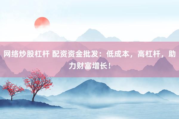 网络炒股杠杆 配资资金批发：低成本，高杠杆，助力财富增长！