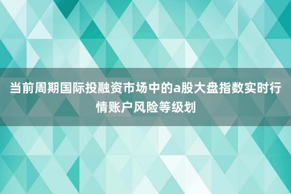 当前周期国际投融资市场中的a股大盘指数实时行情账户风险等级划
